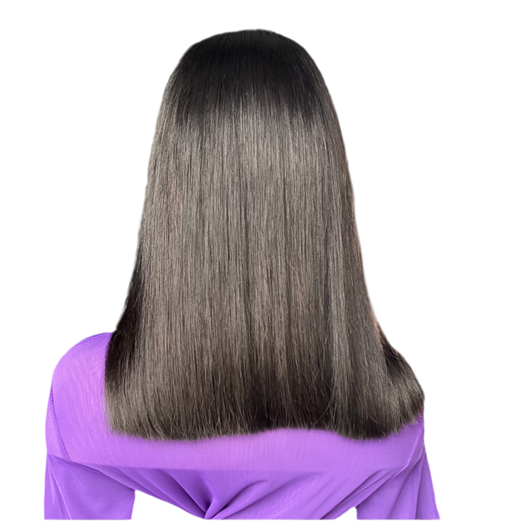 Double Drawn Bone Straight Human Hair Wigs